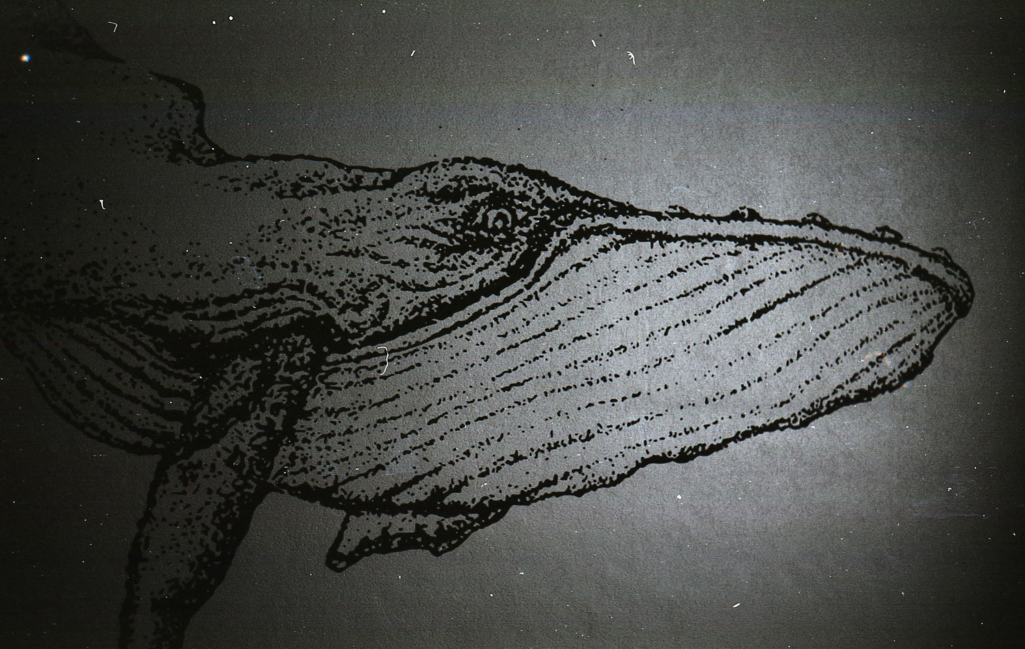 da vinci zeppelin tee